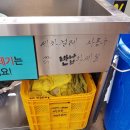 천안세차장백세 이미지