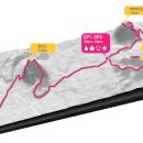 성읍정의현로 이미지