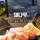 돼나무(서면본점) 이미지