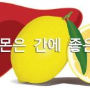 레몬팁 이미지