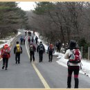 한라산에 새시로 난 돈내코 산행(1일차) 이미지