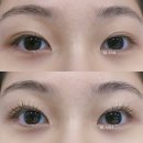 래쉬 비(LASH B!)