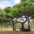 상록수파크 이미지