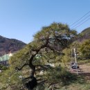 구암동387 이미지