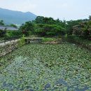 여행날다