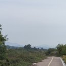 참샘교 Daum카페