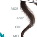 이노릭슨 이미지