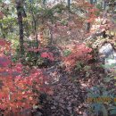 벌재농장 이미지