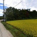 충남부동산공인중개사 이미지