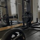 벌크짐 | 수원 금곡동pt 글로리짐 남자 벌크업 PT 후기