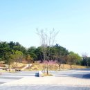 산새공원 입구 이미지