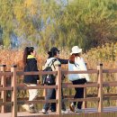 가림이 힐링 이미지