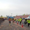 제 16회 순천 남승룡 마라톤 대회 참가기(2016.11.13.) 이미지