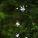 술 도둑놈 이미지