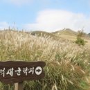 황매산 억새축제 이미지