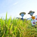 여주-1063 이미지