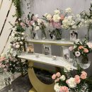 안도두부방 | 11월 일상(대스압)