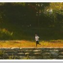 개울가 - 서산시 마애삼존불길 83 | 개울가