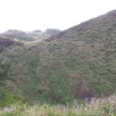 늘봄식당 이미지