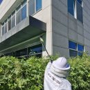 서부소방서 이미지