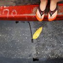 렌즈소녀 이미지