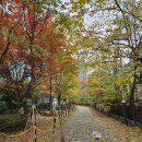 충정로역9번출구 이미지