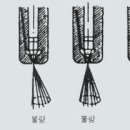 대한부란자 이미지