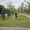 조경기능사 자격과정(이론) 이미지