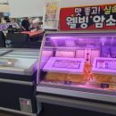 숲속애소 이미지