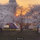 발안천 산책로 이미지