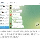 [단독] ‘○○○ 능욕방’ 딥페이크, 겹지인 노렸다…지역별·대학별·미성년까지 이미지