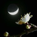 광산여인숙 이미지