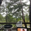 입화산참살이숲야영장 이미지