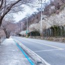 직금마을회관 이미지