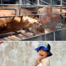 이재문농장 이미지