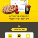 엠디피