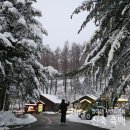 청태산 자연속으로 | [강원 횡성 청태산자연휴양림/측백] 눈 오는 겨울에 꼭 와야하는 휴양림, 신축 측백 후기!