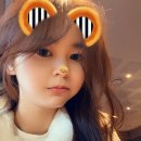 달보드레하다 이미지