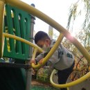 웅이사다리 이미지