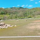 양평양떼목장 이미지