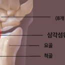 21세기의원 이미지