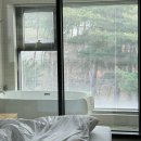 솔펜션 | 강릉 신상펜션 강릉 깔끔한 펜션 추천 바다솔펜션 내돈내산 솔직후기