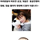 사라불고기