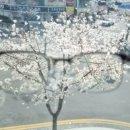 지경민안경원 네이버블로그