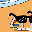 [리빙포인트] 물놀이 후엔 선글라스 꼭 닦으세요 이미지