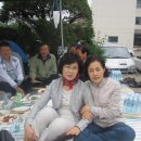 짝지 이미지