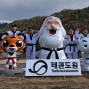 신성태권도 이미지