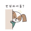 미다모은