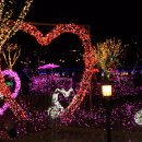 가평하늘정원 이미지