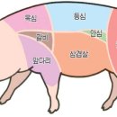 돼지한마리 이미지